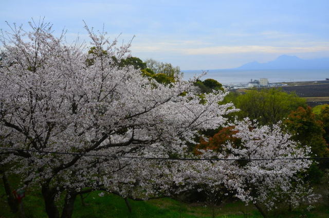 yotuyama19040517.JPG