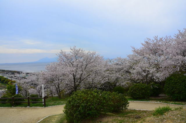 yotuyama19040520.JPG