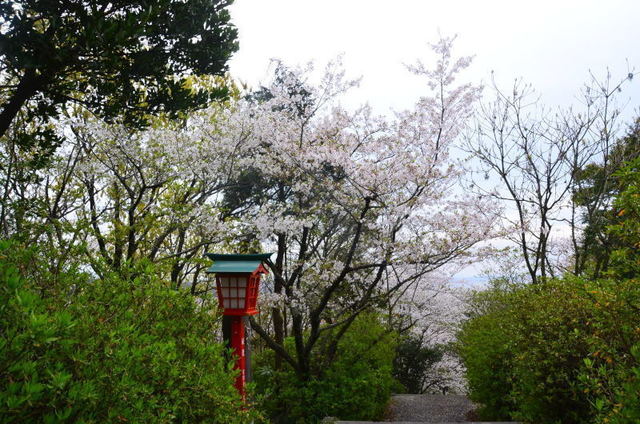 yotuyama19040523.JPG