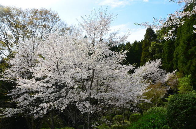 ootuaso19040519.JPG