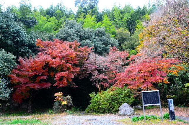 syounen20120818.JPG