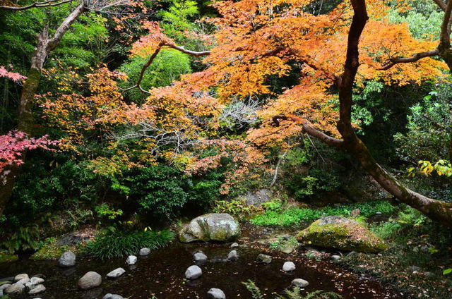 syounen20120832.JPG