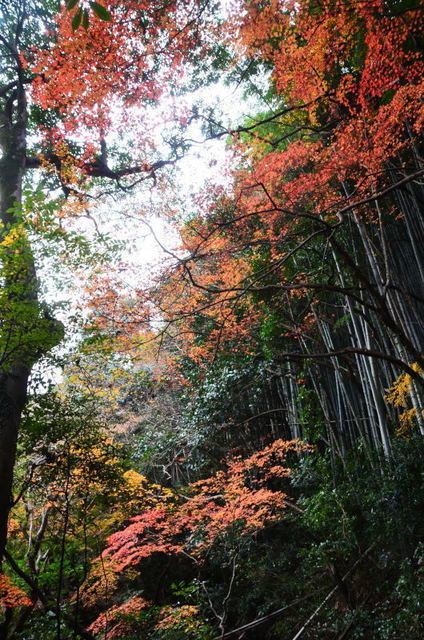 sankendou20120822.JPG