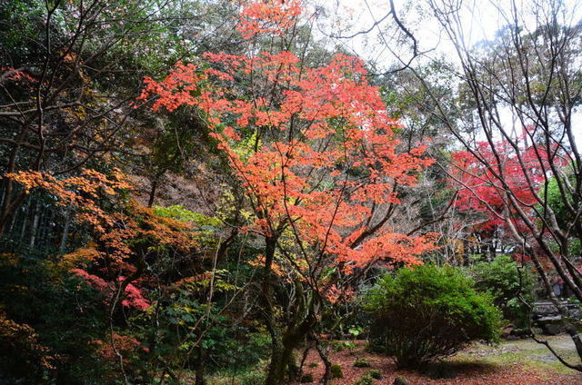 sankendou20120845.JPG