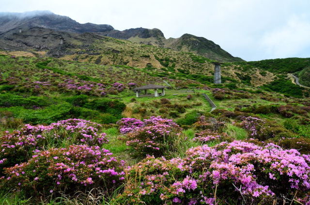 aso22051126.JPG