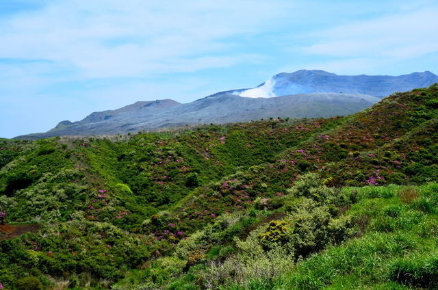 aso22052705.JPG