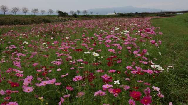 hazamakawa24102402.JPG