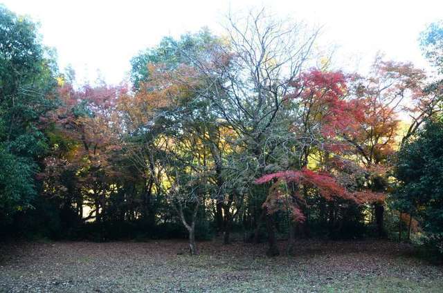 kumamoto22120228.JPG