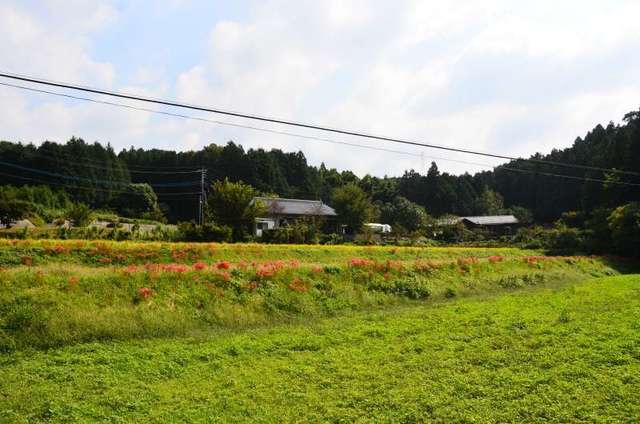 mashiki22093063.JPG