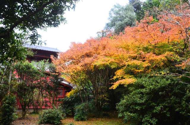sankendou22111804.JPG