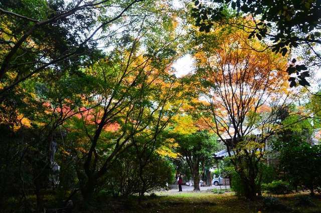 sankendou22111807.JPG