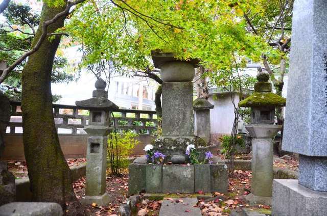 shimazaki22111832.JPG