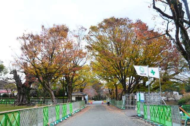 shimazaki22111845.JPG
