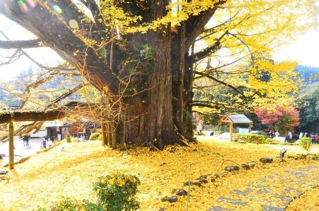 shimojyou22111112.JPG