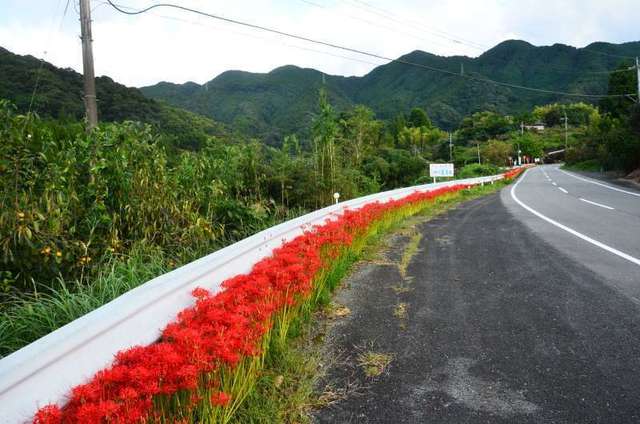 ukimisato22092805.JPG